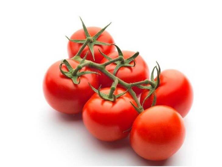 50 70 tomaten tros