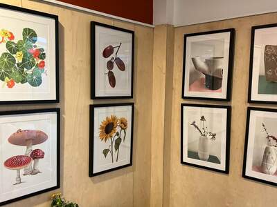 Expositie werk