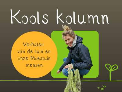 Kools kolumn website NB
