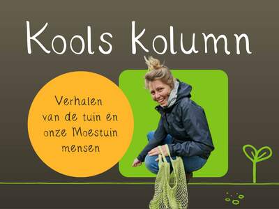Kools kolumn website NB 6