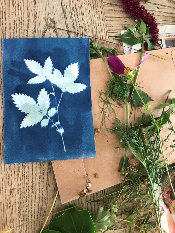 Syanotype 