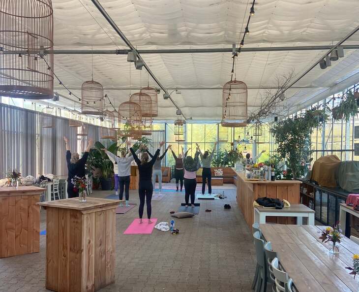 Yoga kas 